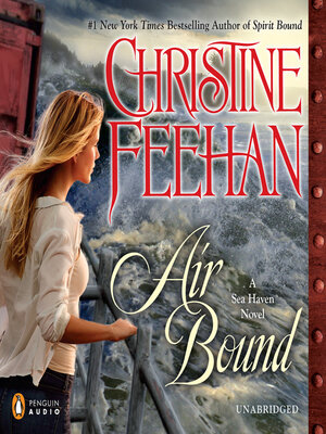 Air Bound - Audiobook